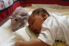 IMG-20151110-WA000